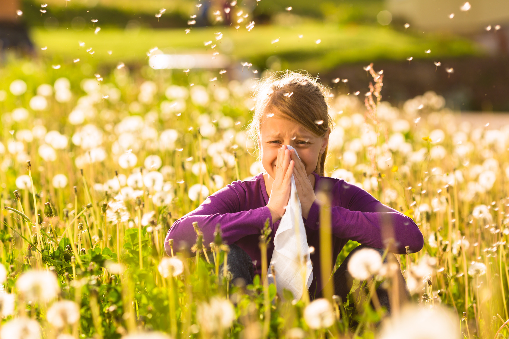 Foto del post Allergia e pollini: 10 consigli contro i sintomi di oculorinite e rinite allergica